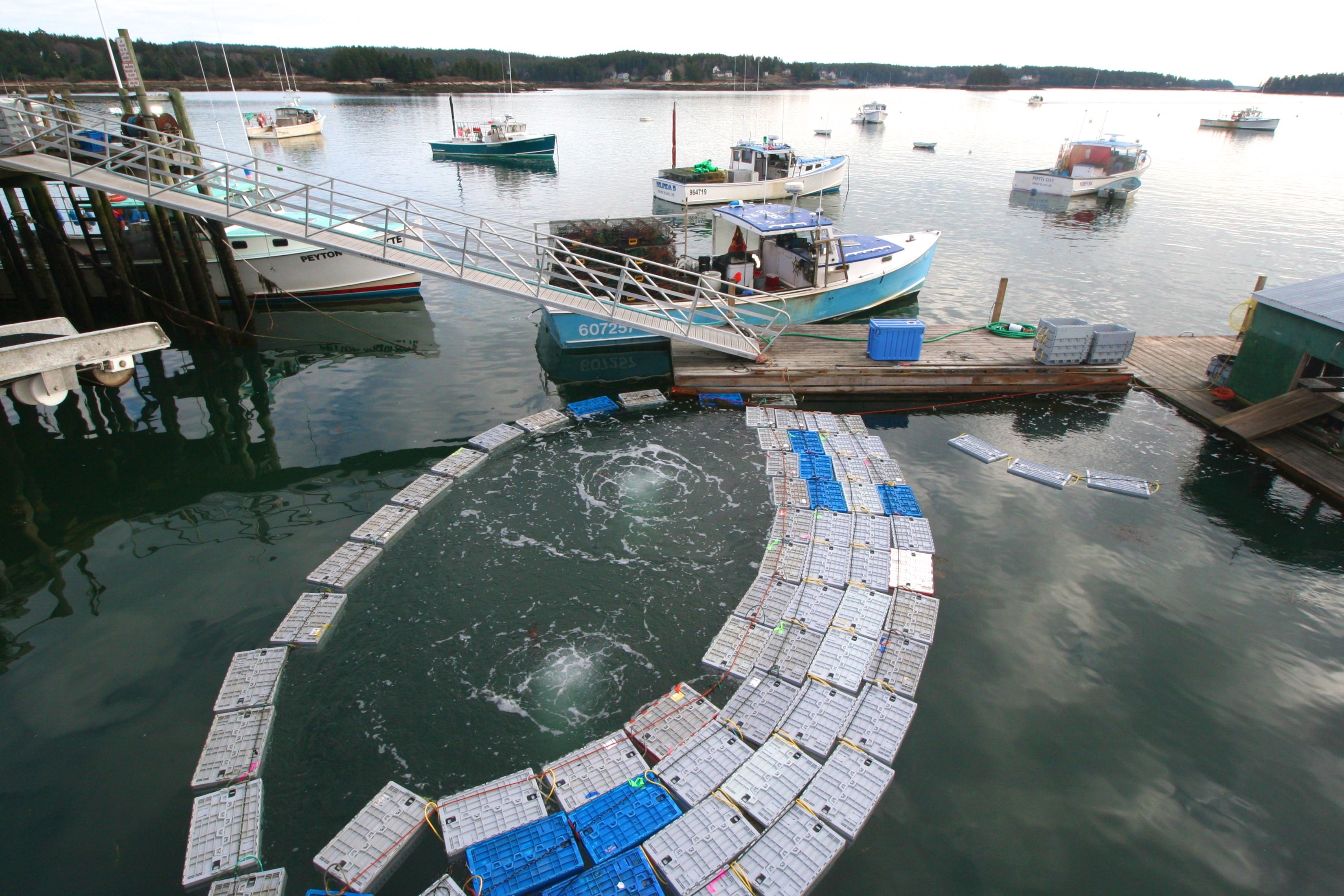 NOAA awards 2M for lobster research, much of it to be conducted in